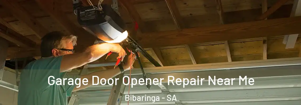  Garage Door Opener Repair Near Me Bibaringa - SA