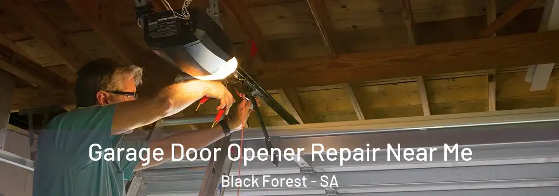 Garage Door Opener Repair Near Me Black Forest - SA