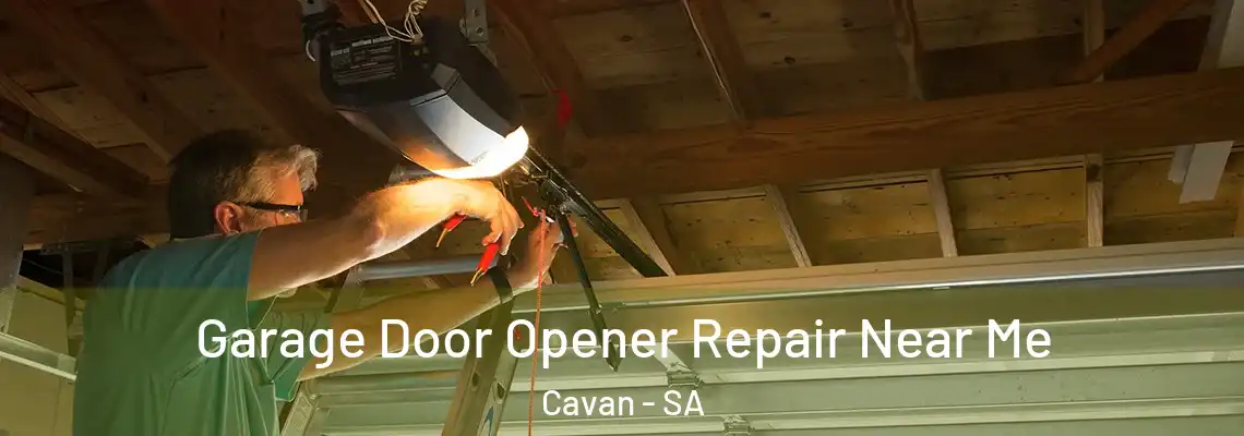  Garage Door Opener Repair Near Me Cavan - SA