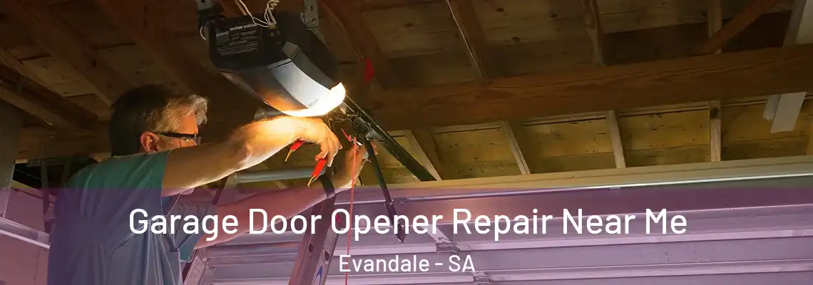  Garage Door Opener Repair Near Me Evandale - SA