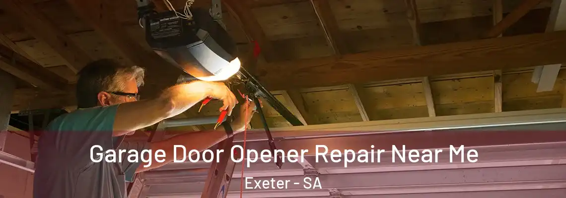  Garage Door Opener Repair Near Me Exeter - SA
