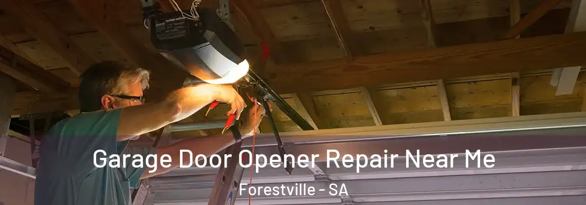  Garage Door Opener Repair Near Me Forestville - SA
