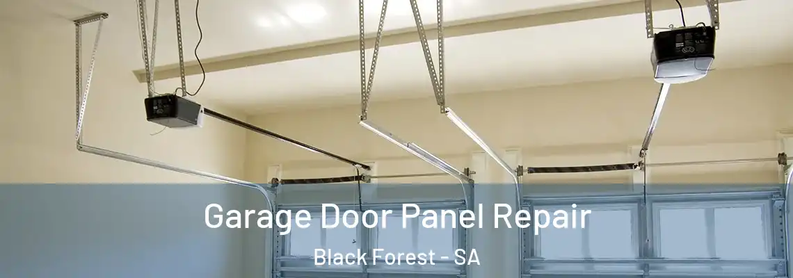  Garage Door Panel Repair Black Forest - SA