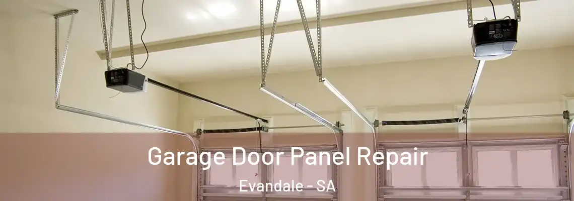  Garage Door Panel Repair Evandale - SA
