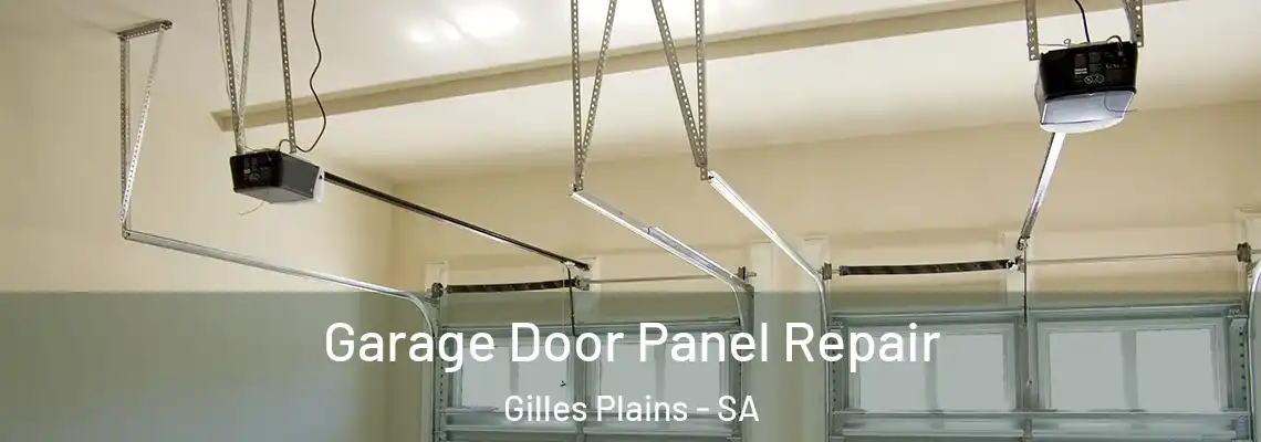  Garage Door Panel Repair Gilles Plains - SA