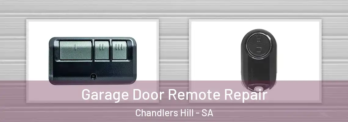  Garage Door Remote Repair Chandlers Hill - SA