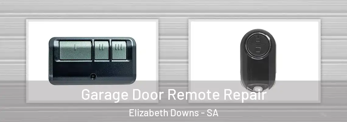 Garage Door Remote Repair Elizabeth Downs - SA