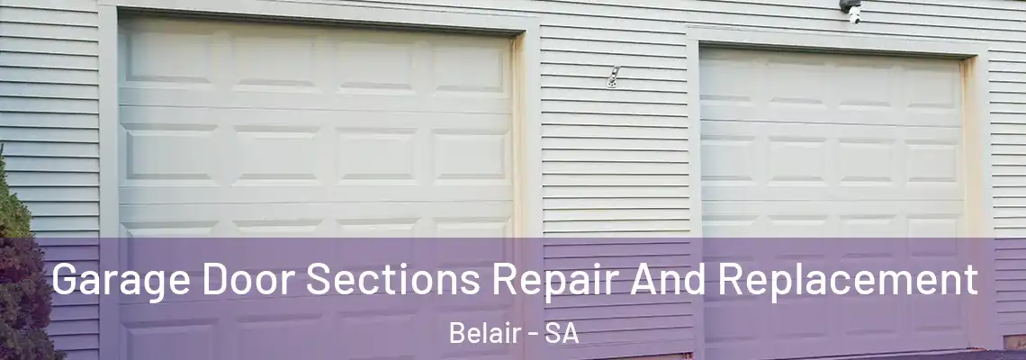  Garage Door Sections Repair And Replacement Belair - SA