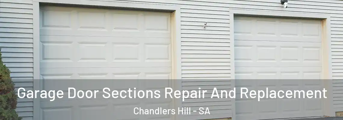  Garage Door Sections Repair And Replacement Chandlers Hill - SA