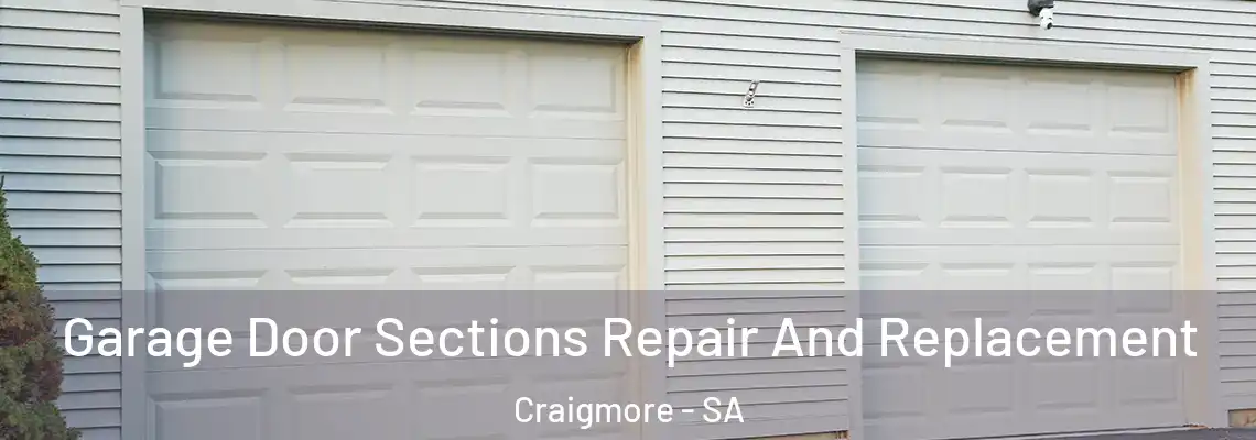  Garage Door Sections Repair And Replacement Craigmore - SA