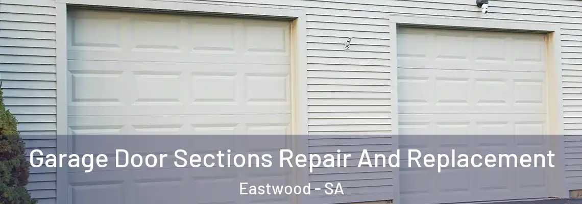  Garage Door Sections Repair And Replacement Eastwood - SA