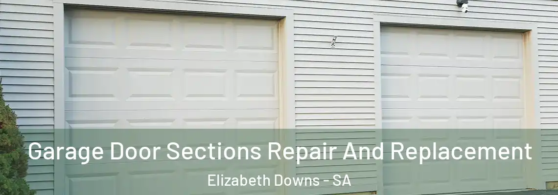  Garage Door Sections Repair And Replacement Elizabeth Downs - SA