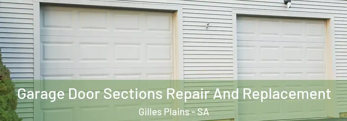  Garage Door Sections Repair And Replacement Gilles Plains - SA