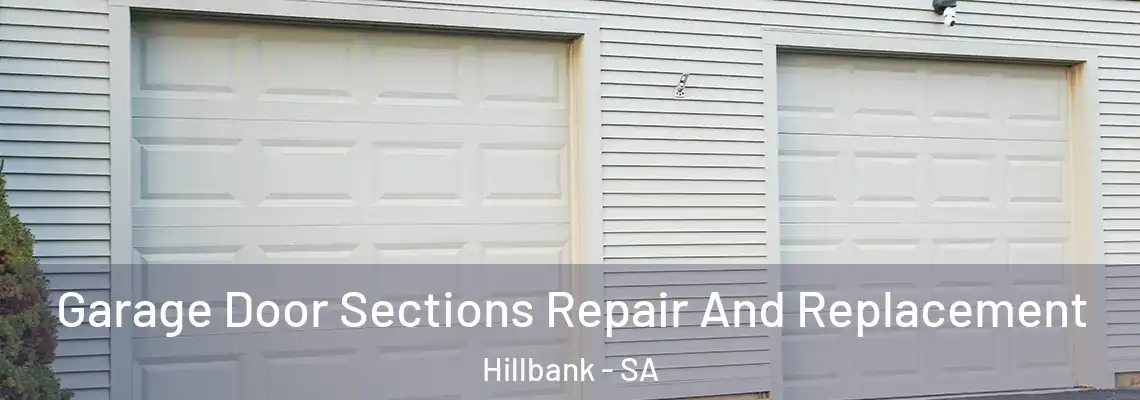  Garage Door Sections Repair And Replacement Hillbank - SA