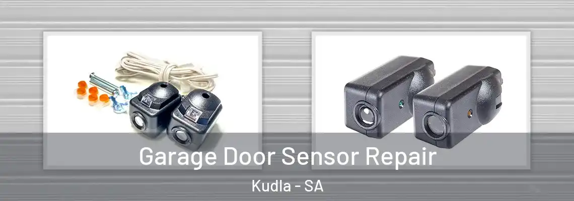  Garage Door Sensor Repair Kudla - SA