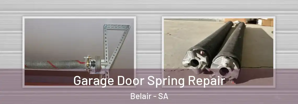  Garage Door Spring Repair Belair - SA