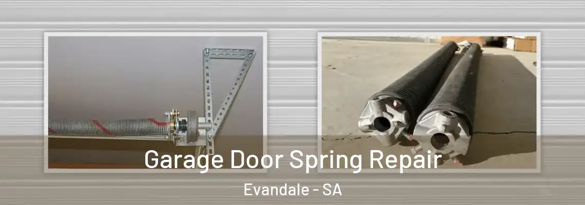  Garage Door Spring Repair Evandale - SA