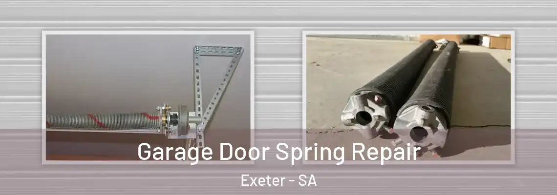  Garage Door Spring Repair Exeter - SA