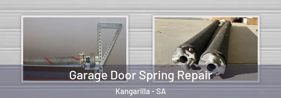  Garage Door Spring Repair Kangarilla - SA