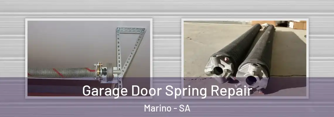  Garage Door Spring Repair Marino - SA