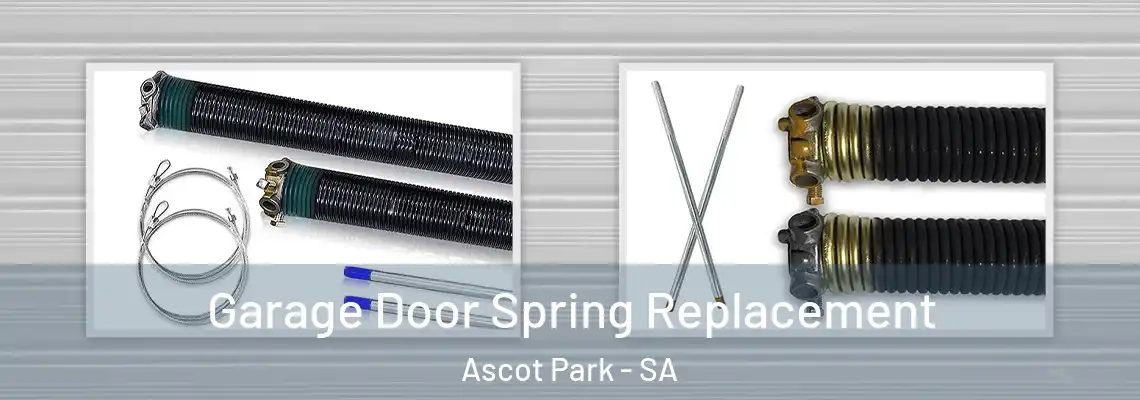  Garage Door Spring Replacement Ascot Park - SA