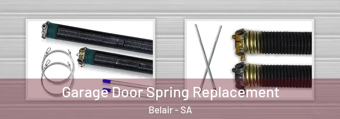  Garage Door Spring Replacement Belair - SA