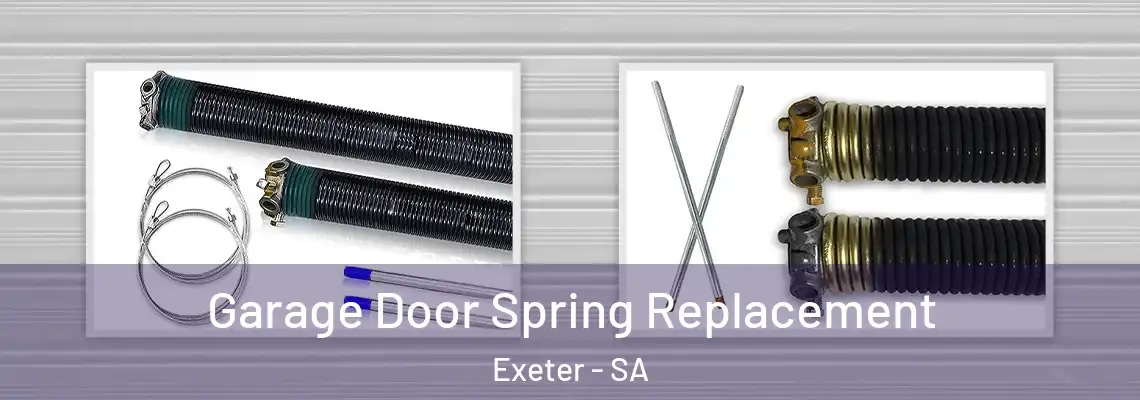  Garage Door Spring Replacement Exeter - SA