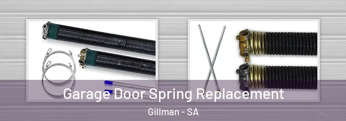 Garage Door Spring Replacement Gillman - SA