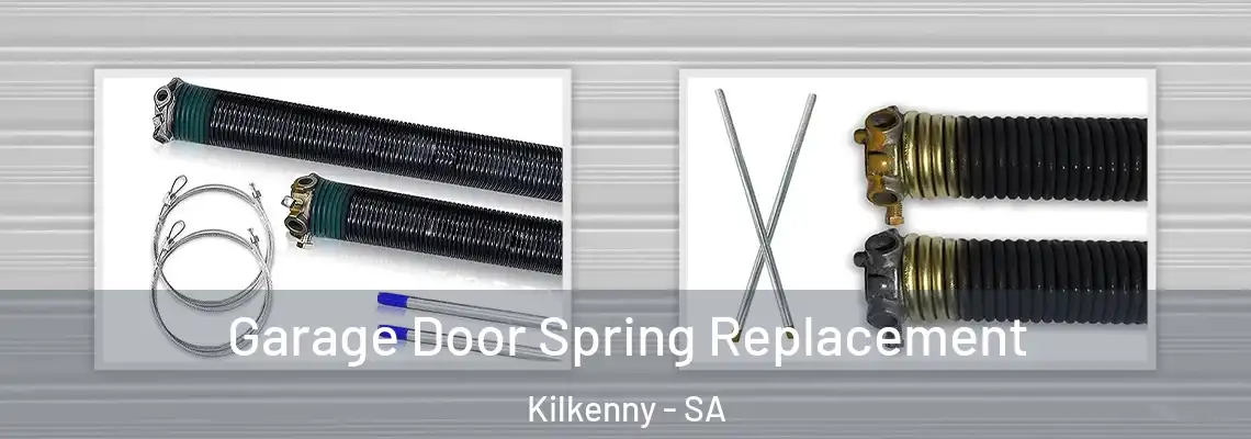  Garage Door Spring Replacement Kilkenny - SA