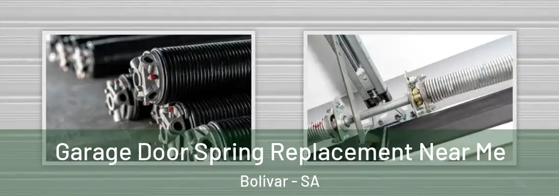  Garage Door Spring Replacement Near Me Bolivar - SA