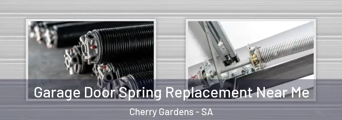  Garage Door Spring Replacement Near Me Cherry Gardens - SA