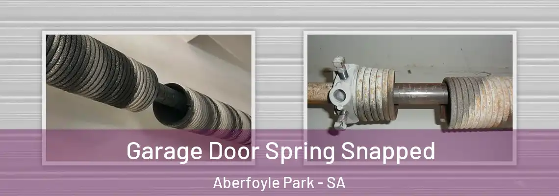  Garage Door Spring Snapped Aberfoyle Park - SA
