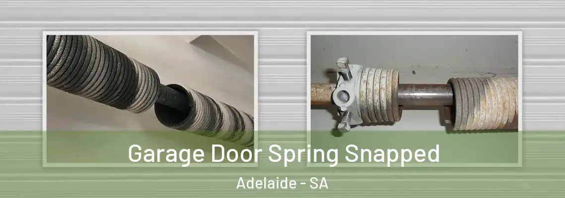  Garage Door Spring Snapped Adelaide - SA
