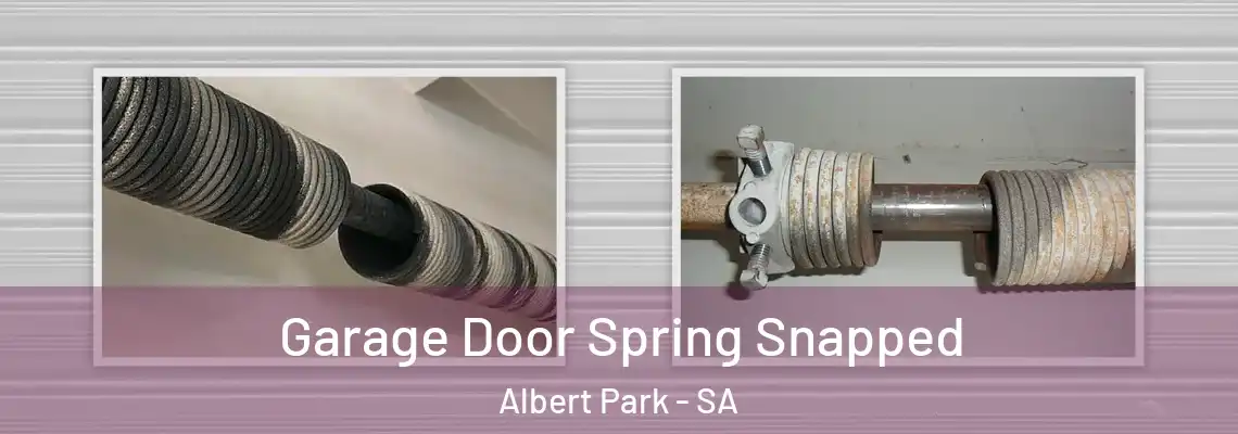  Garage Door Spring Snapped Albert Park - SA