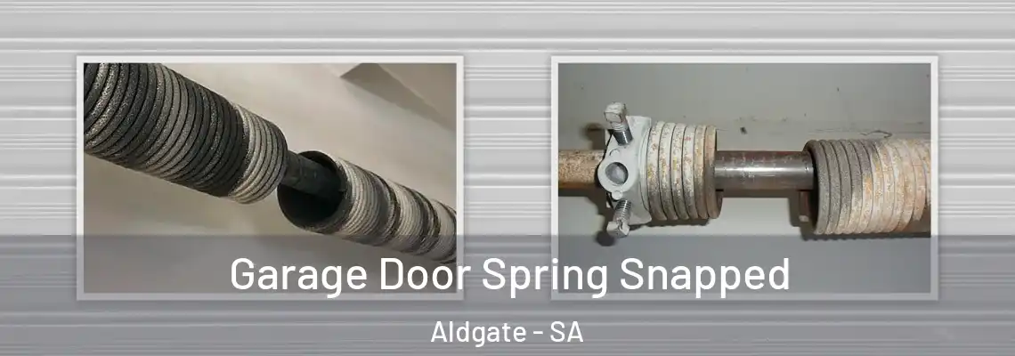  Garage Door Spring Snapped Aldgate - SA