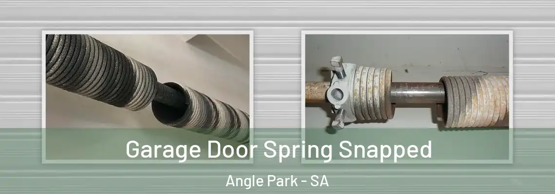  Garage Door Spring Snapped Angle Park - SA