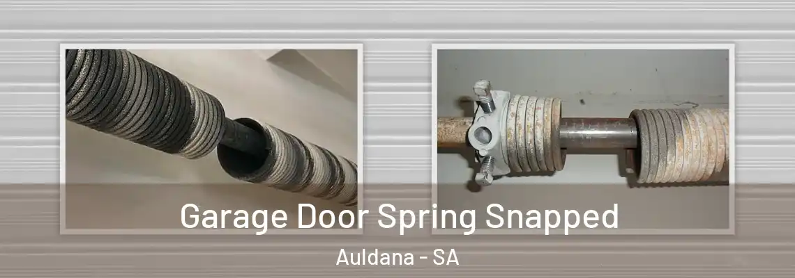  Garage Door Spring Snapped Auldana - SA