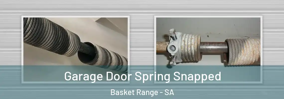  Garage Door Spring Snapped Basket Range - SA