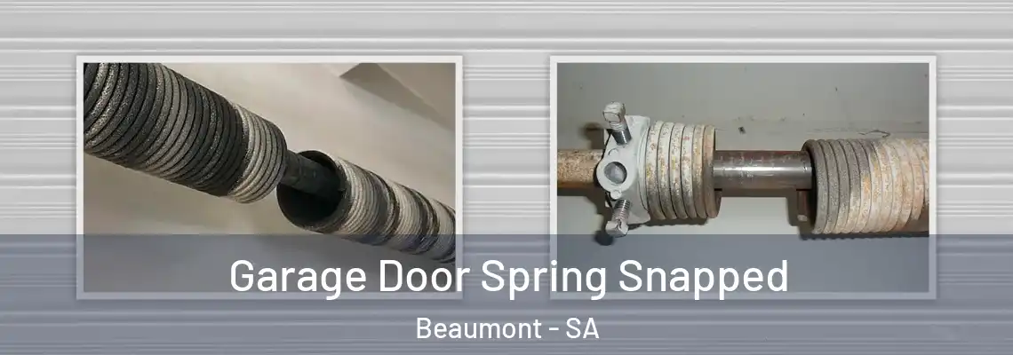  Garage Door Spring Snapped Beaumont - SA