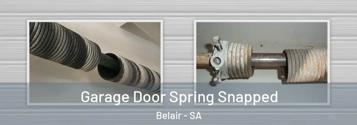  Garage Door Spring Snapped Belair - SA