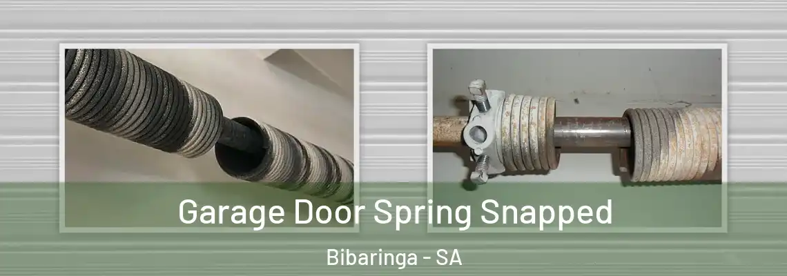  Garage Door Spring Snapped Bibaringa - SA