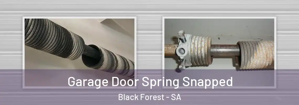  Garage Door Spring Snapped Black Forest - SA