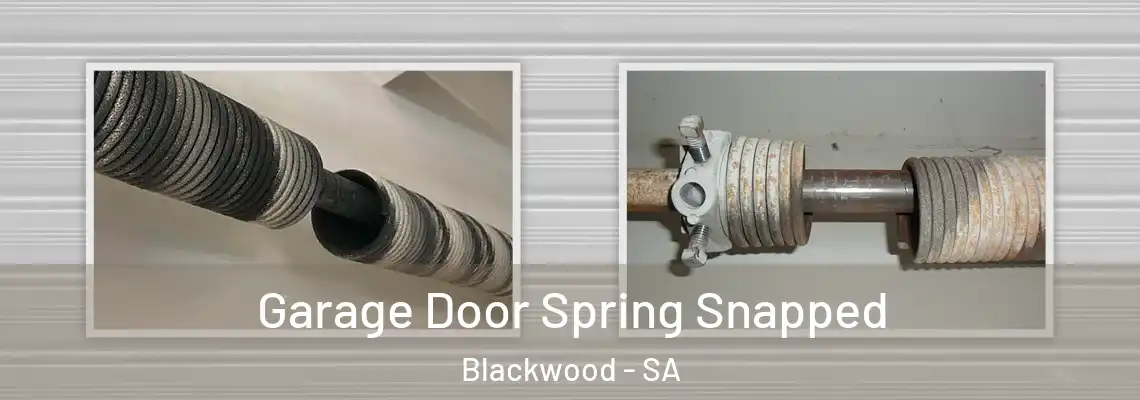  Garage Door Spring Snapped Blackwood - SA