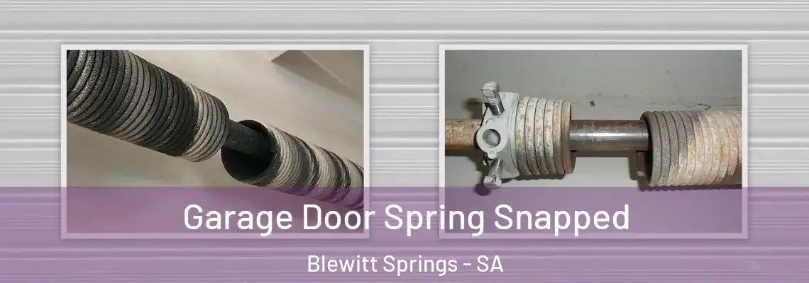  Garage Door Spring Snapped Blewitt Springs - SA