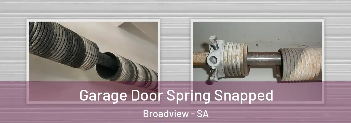  Garage Door Spring Snapped Broadview - SA