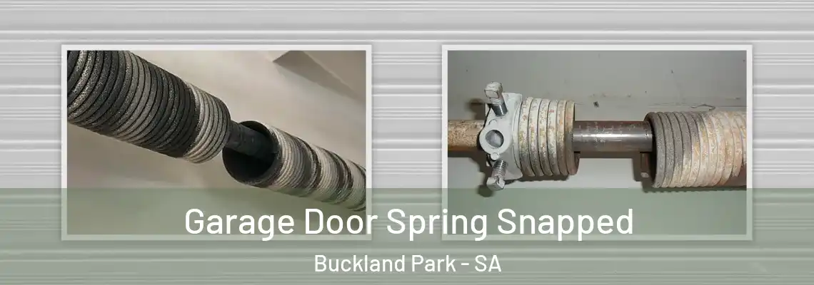  Garage Door Spring Snapped Buckland Park - SA