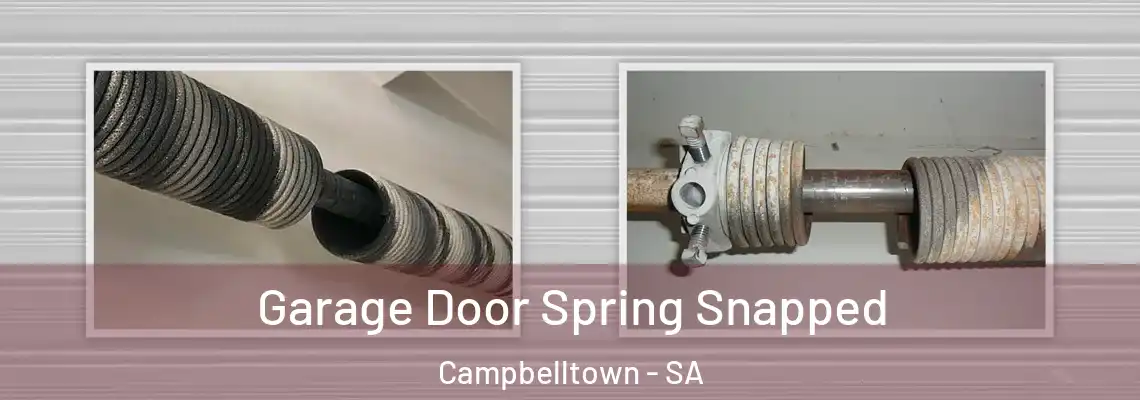  Garage Door Spring Snapped Campbelltown - SA