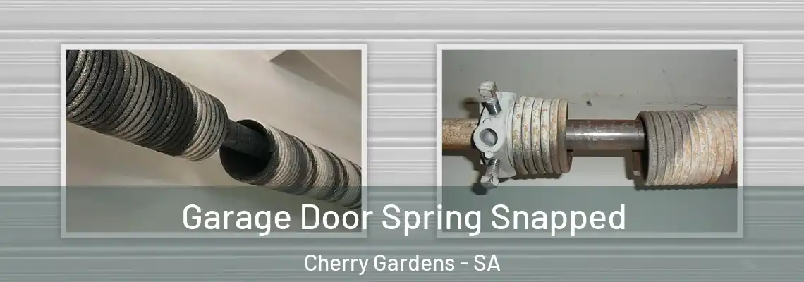  Garage Door Spring Snapped Cherry Gardens - SA