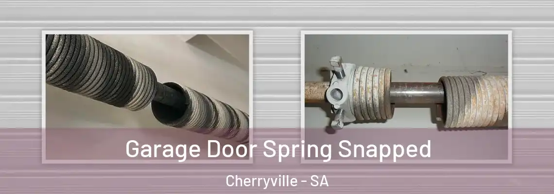  Garage Door Spring Snapped Cherryville - SA