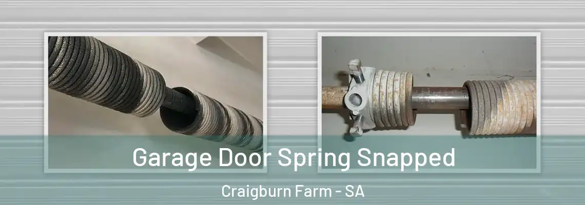  Garage Door Spring Snapped Craigburn Farm - SA